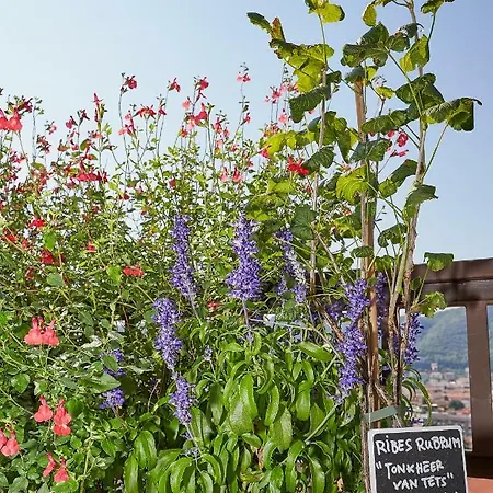 Apartment Aerie Esmeralda Como