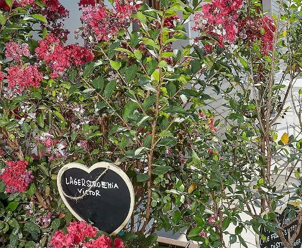 דירה Aerie Esmeralda קומו