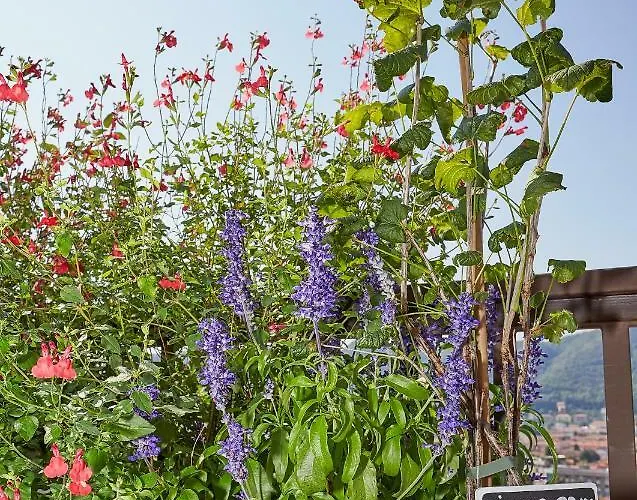 דירה Aerie Esmeralda קומו