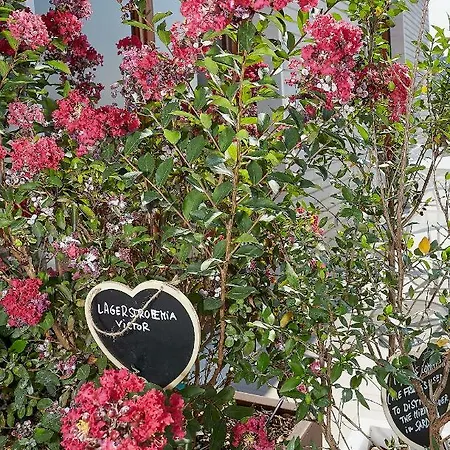 Appartement Aerie Esmeralda Como